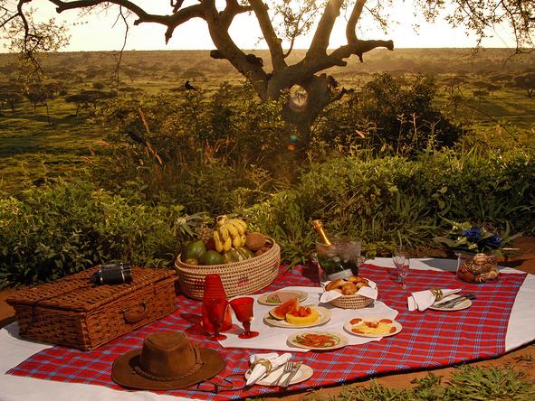 Tarangire Sopa Lodge - Picnic 